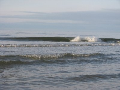 2008 12 07 024.jpg