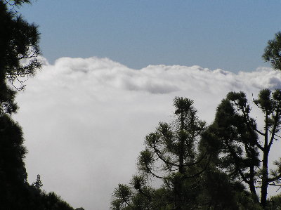 kanarai_2008 295.jpg