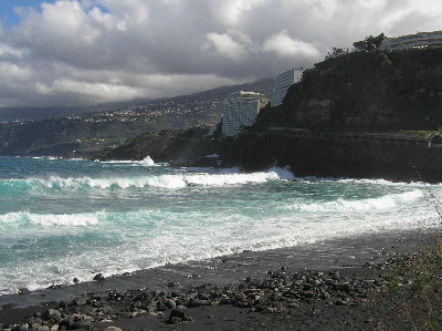 kanarai_2008 324.jpg