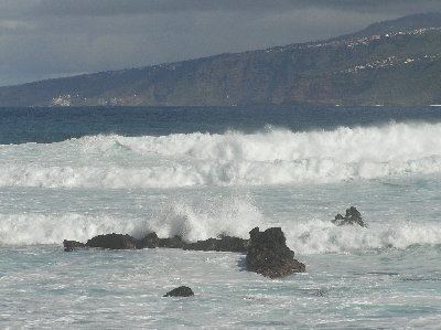kanarai_2008 325.jpg