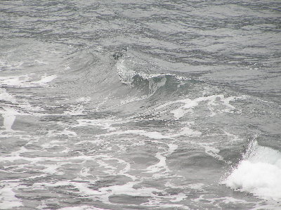 kanarai_2008_2 039.jpg