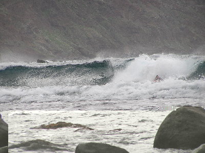 kanarai_2008_2 050.jpg
