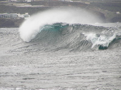 kanarai_2008_2 070.jpg