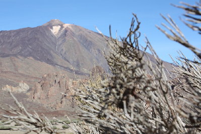 mount Teide.JPG