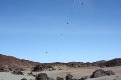 retas reiskinys - meteoritu lietus.JPG