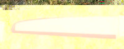 IMG_1784.jpg
