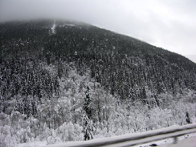 DSCN4137_resize.JPG