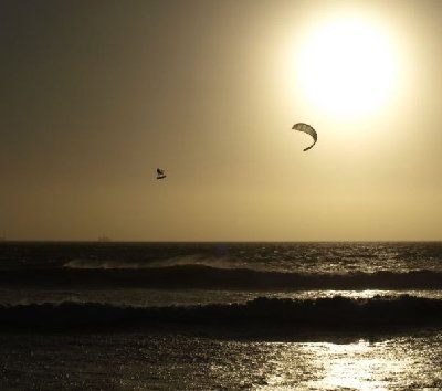 n772695077_5605455_6131.jpg