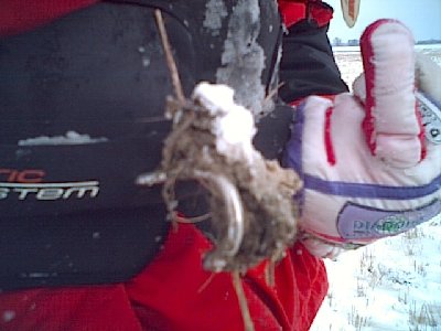 PIC00008.jpg
