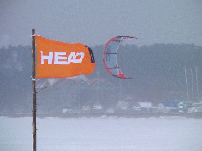 head 001.jpg