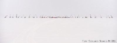 20090220_ISSWC_3607.JPG