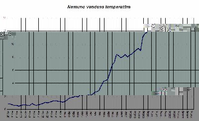 2003 Nemuno temp.jpg