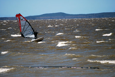DSC_2339.jpg