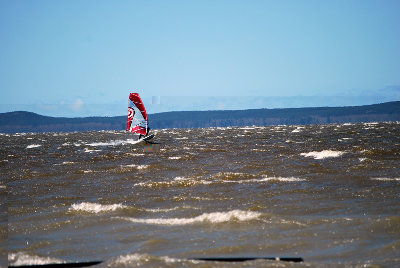 DSC_2386.jpg
