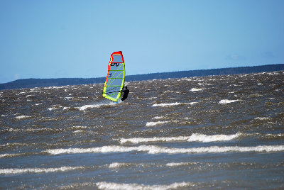 DSC_2429.jpg