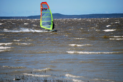 DSC_2437.jpg