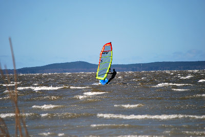 DSC_2448.jpg