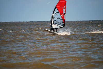 DSC_3101.jpg