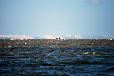 DSC_3124.jpg