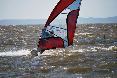 DSC_3128.jpg