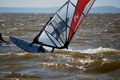 DSC_3131.jpg