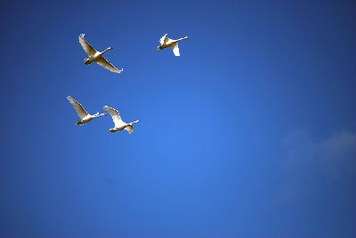 DSC_3139.jpg