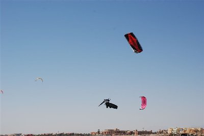 DSC_0330.JPG
