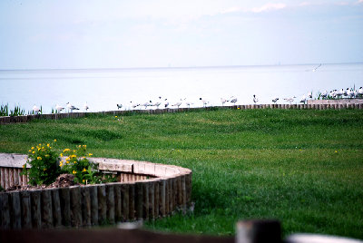 DSC_3186.jpg