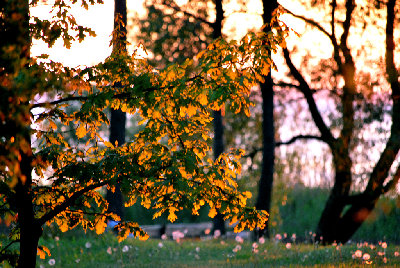 DSC_3300.jpg