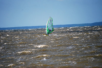 DSC_3393.jpg