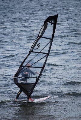 DSC_0560.JPG