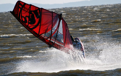 DSC_3555.jpg