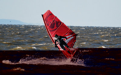 DSC_3560.jpg