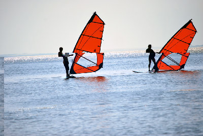 DSC_4465.jpg