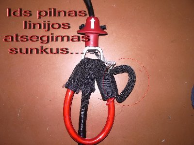 IMGP9399_resize.JPG