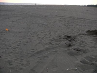 Spotas_Poti-grigoleti (2).jpg