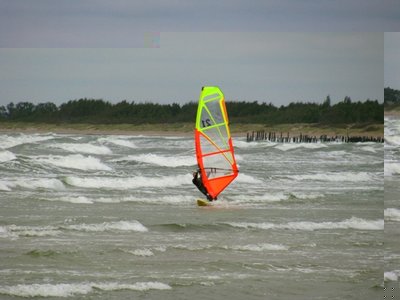IMG_0064.jpg
