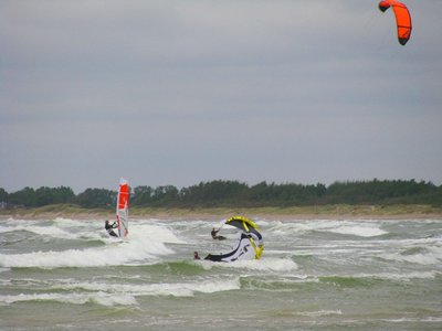 IMG_0080.jpg