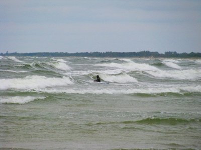 IMG_0089.jpg