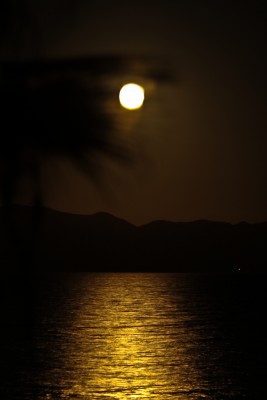 IMG_0234_.jpg