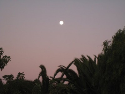 IMG_4704.JPG