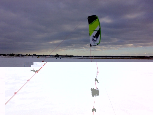 20100303410.jpg