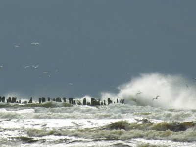 Resize of RSCN7064 (8).jpg