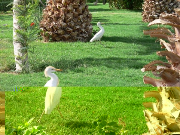 t_shams_hotel_diena_2__23__196.jpg (154.9 KiB) Peržiūrėta 5455 kartus(ų) t_shams_hotel_diena_2__23__196.jpg