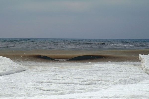 IMGP1249.JPG