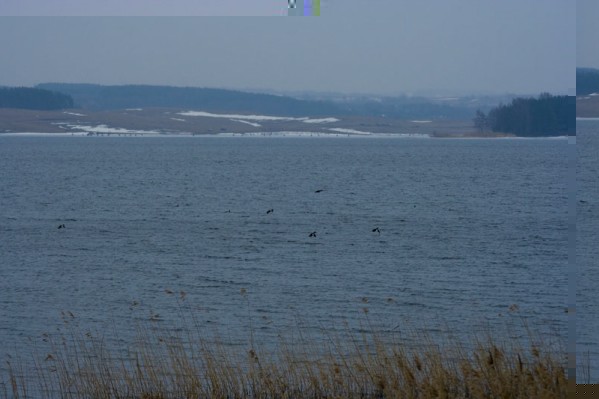 13.jpg (72.62 KiB) Peržiūrėta 6206 kartus(ų) 13.jpg