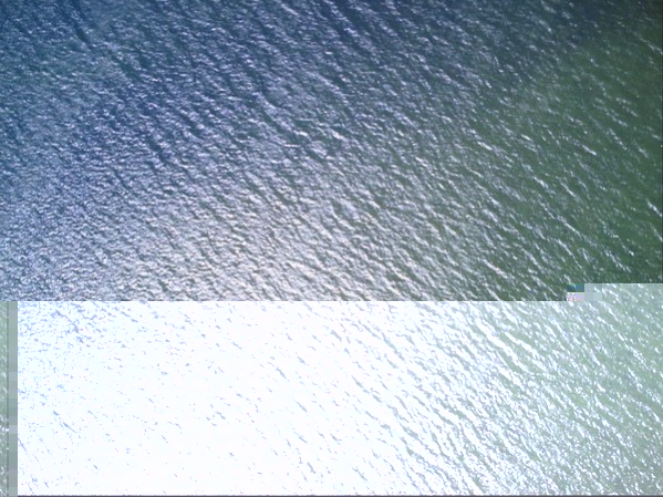 PICT0014_resize.JPG