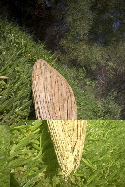 Reed Surfboard_0856.jpg (121.17 KiB) Peržiūrėta 21435 kartus(ų) Reed Surfboard_0856.jpg