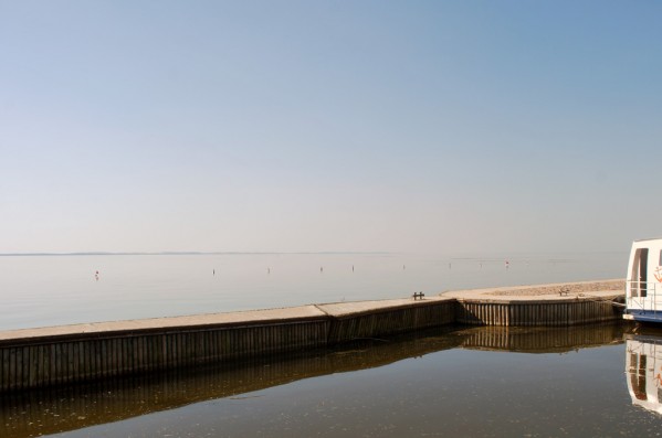 DSC_5364.jpg