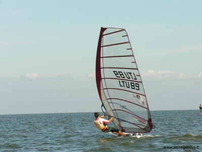 soninis.jpg (0 Baitų) Peržiūrėta 7284 kartus(ų) soninis.jpg
